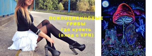 apvp Протвино