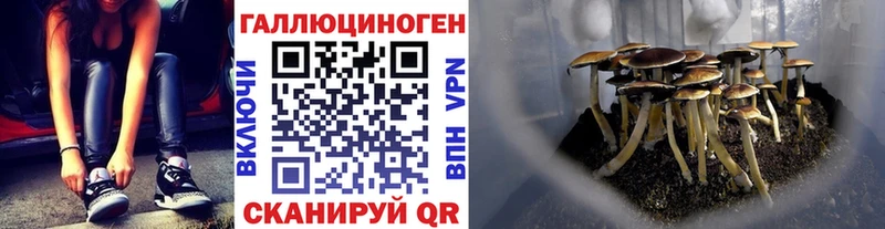 где можно купить наркотик Истра Галлюциногенные грибы Psilocybe
